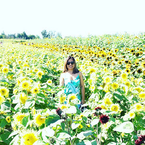 Meet your Posher, Allitang